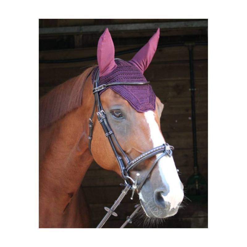 Bonnet Prems PADDOCK Prune