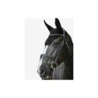 Bonnet PADDOCK Pro Coton Noir