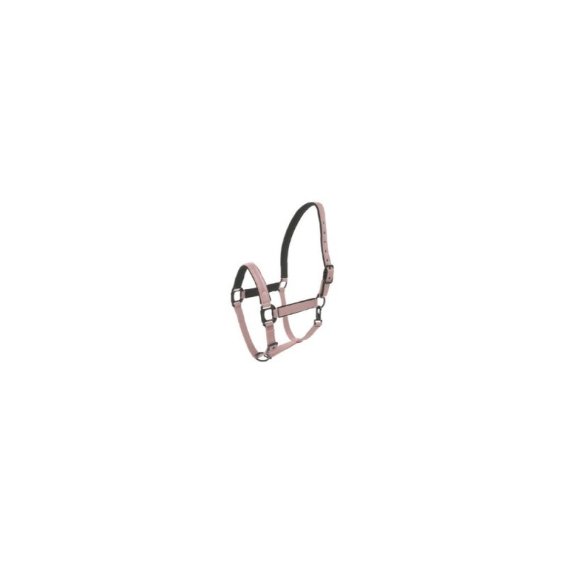Licol Vieux Rose Lamicell Charming