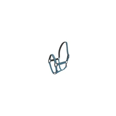 Licol Turquoise Lamicell Charming