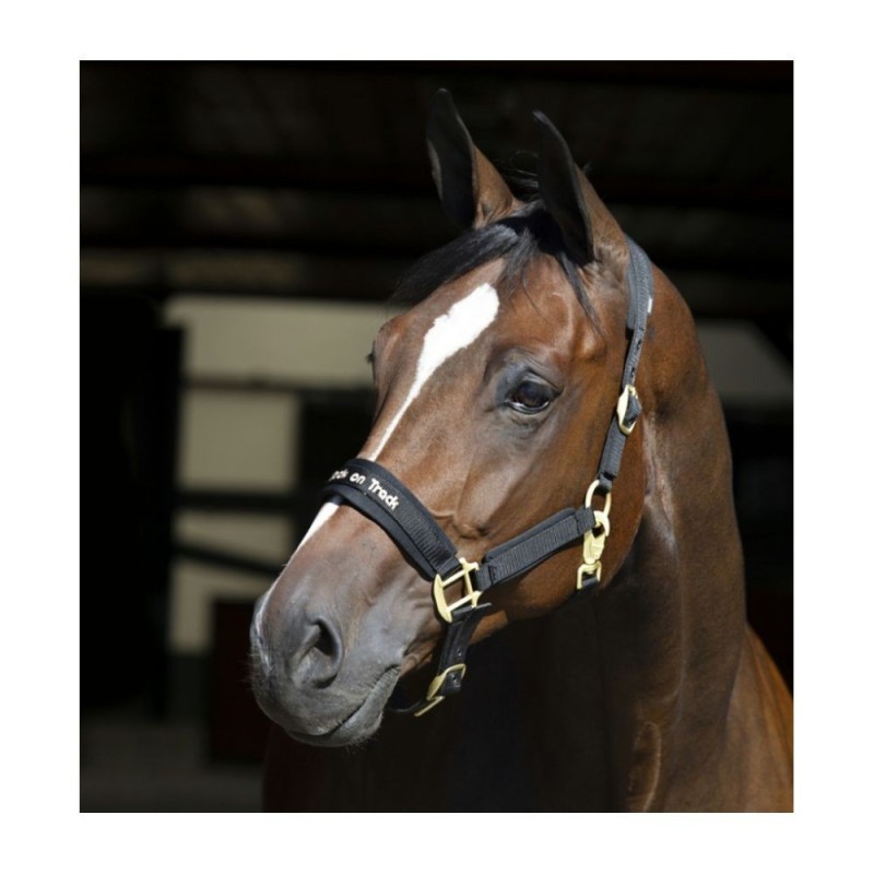 Licol Noir Back on Track Werano