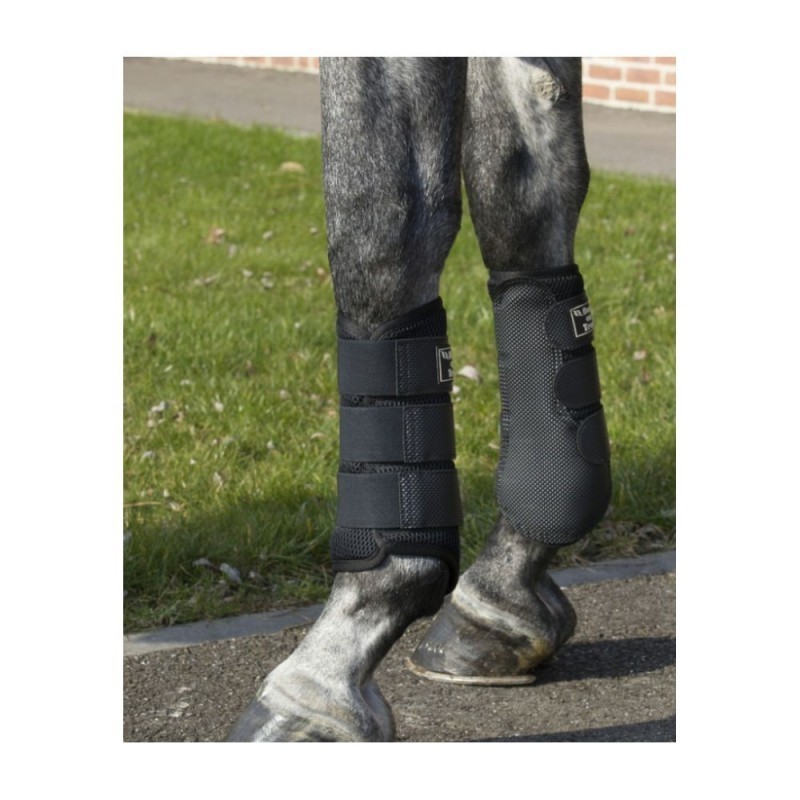 GuÃªtres Back on Track 3D Mesh