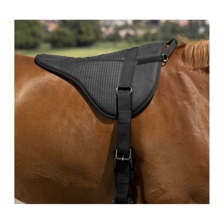 Tapis de monte Ã  cru Norton silicone