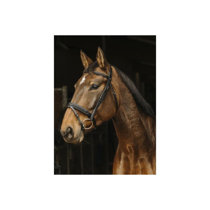 Bridon NORTON PRO - Apophyse Noir