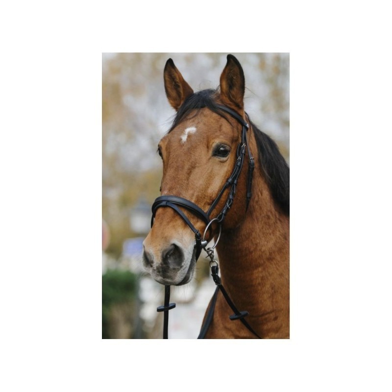 Bridon NORTON TRAINING Noir