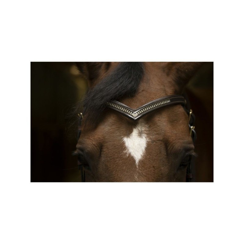 Frontal NORTON CLUB "Diamond", forme V Havane