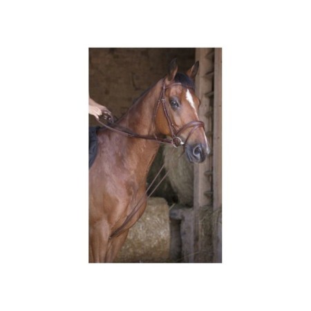 RÃªnes allemande cuir/corde NORTON PRO Havane