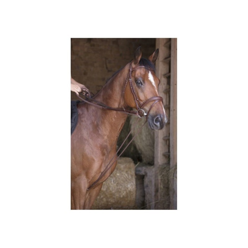 RÃªnes allemande cuir/corde NORTON PRO Havane