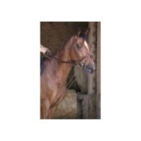RÃªnes allemande cuir/corde NORTON PRO Havane