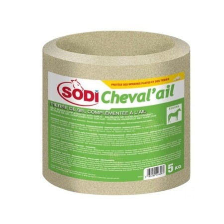 SODICHEVAL'AIL