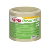SODICHEVAL'AIL