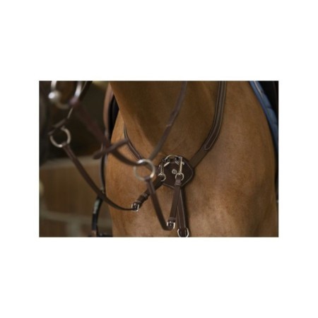 Collier de chasse NORTON PRO "Confort" Havane