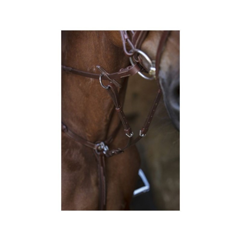 Collier de chasse NORTON PRO Havane
