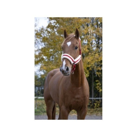Licol Rouge NORTON "Confort"