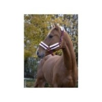 Licol Bordeaux NORTON "Confort"