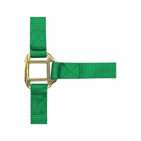 Licol nylon Vert NORTON doublÃ© cuir