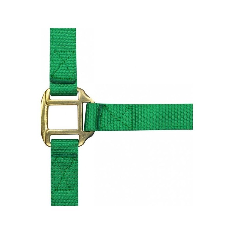 Licol nylon Vert NORTON doublÃ© cuir