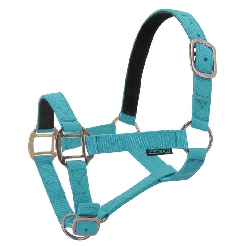 Licol nylon Turquoise NORTON doublÃ© cuir
