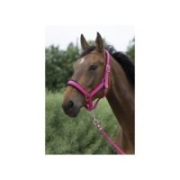 Licol + longe Framboise NORTON "Large"