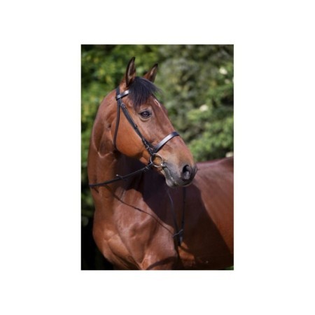 Bridon Shetland Noir RIDING WORLD "Muserolle franÃ§aise"