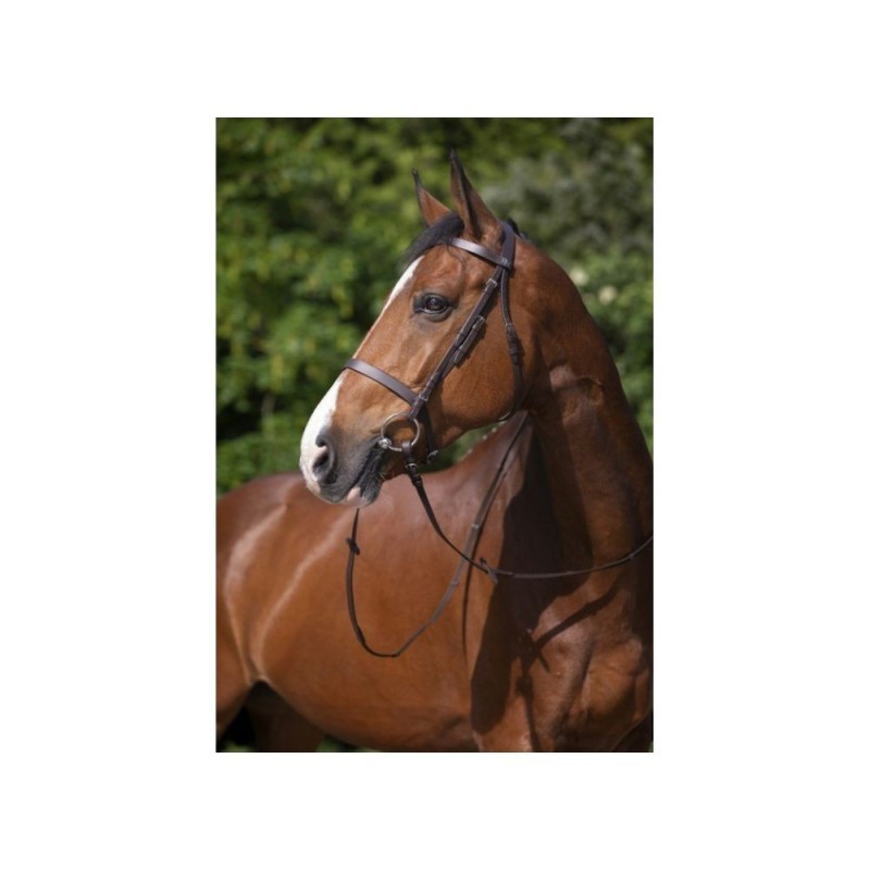 Bridon Poney Havane RIDING WORLD "Muserolle franÃ§aise"