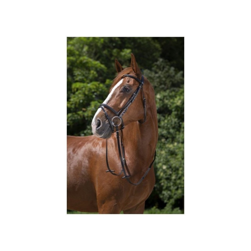 Bridon RIDING WORLD "Muserolle combinÃ©e" PUR-SANG NOIR