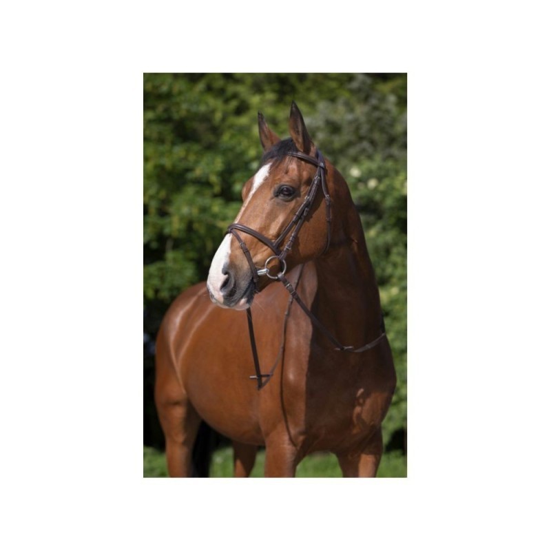 Bridon RIDING WORLD "Muserolle combinÃ©e" CHEVAL HAVANE