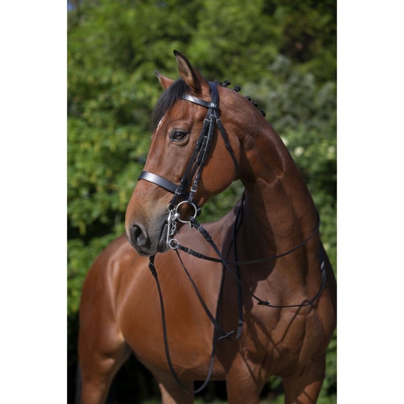 BRIDE Riding World CHEVAL NOIR