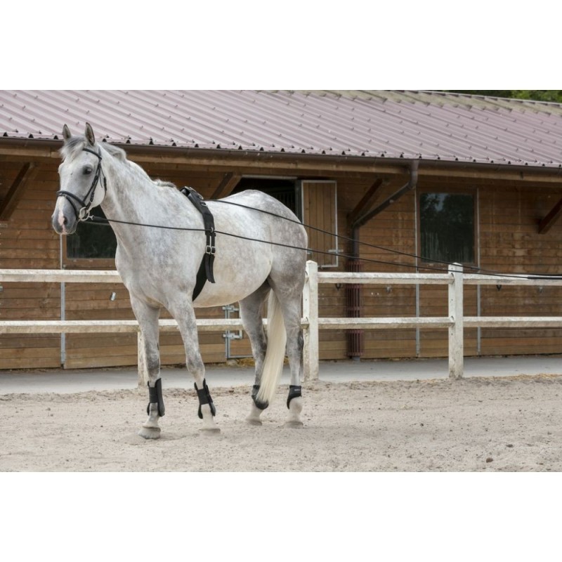 Longues rÃªnes RIDING WORLD cuir/corde NOIR
