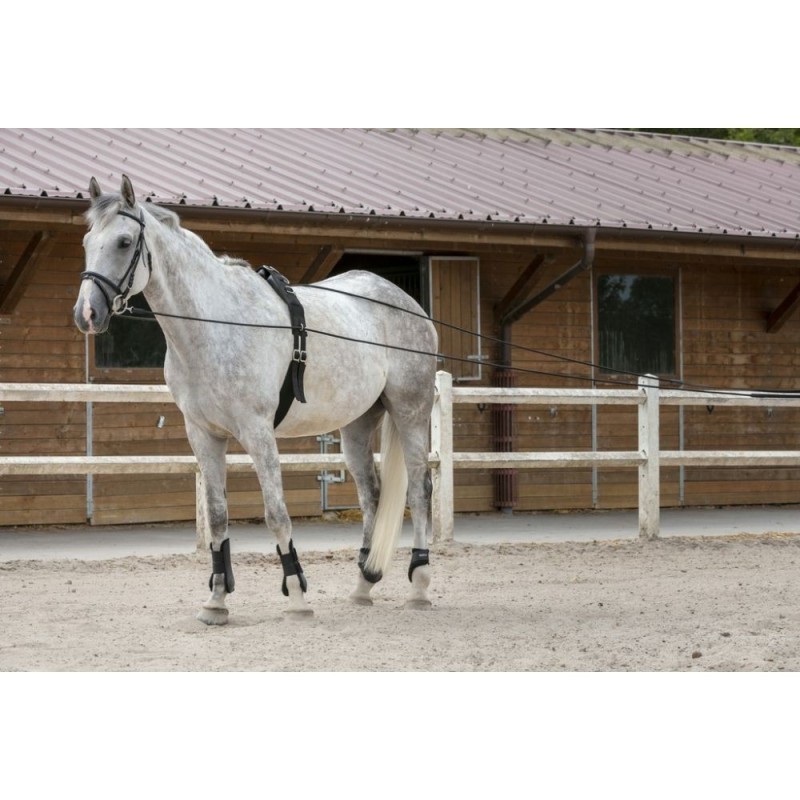 Longues rÃªnes RIDING WORLD cuir/corde NOIR