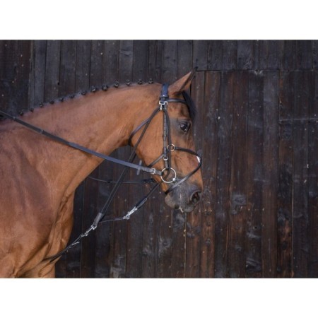 Gogue Ã  poulies RIDING WORLD PONEY NOIR