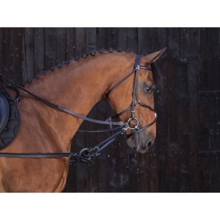 EnrÃªnement caoutchouc RIDING WORLD HAVANE
