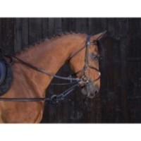 EnrÃªnement caoutchouc RIDING WORLD HAVANE