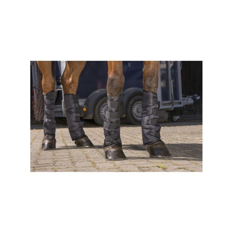 GuÃªtres de transport basses RIDING WORLD CHEVAL NOIR