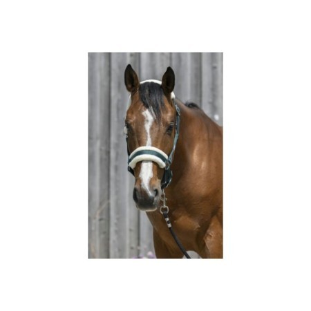 Licol Vert Foret RIDING WORLD mouton synthÃ©tique PONEY