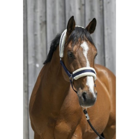 Licol Marine RIDING WORLD mouton synthÃ©tique Cheval