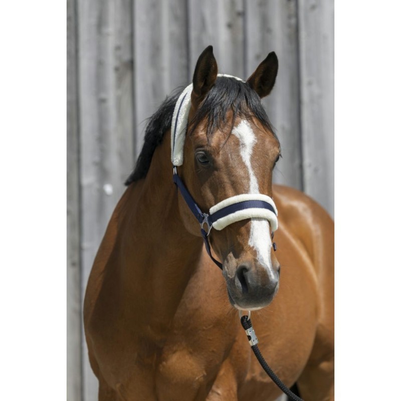 Licol Marine RIDING WORLD mouton synthÃ©tique Cheval