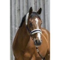 Licol Marine RIDING WORLD mouton synthÃ©tique Cheval