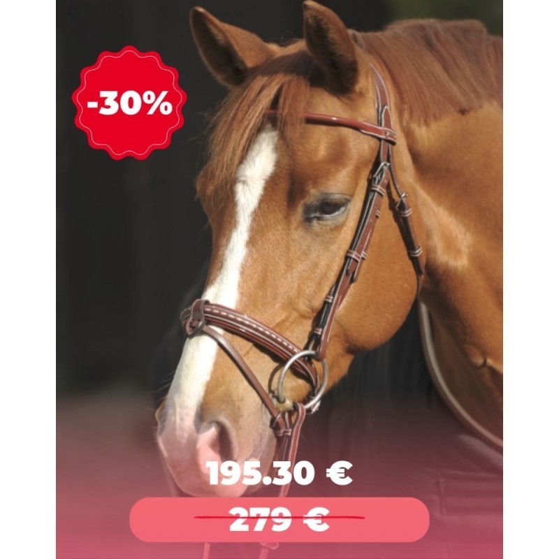 Bridon PENELOPE "Point Sellier" NOISETTE
