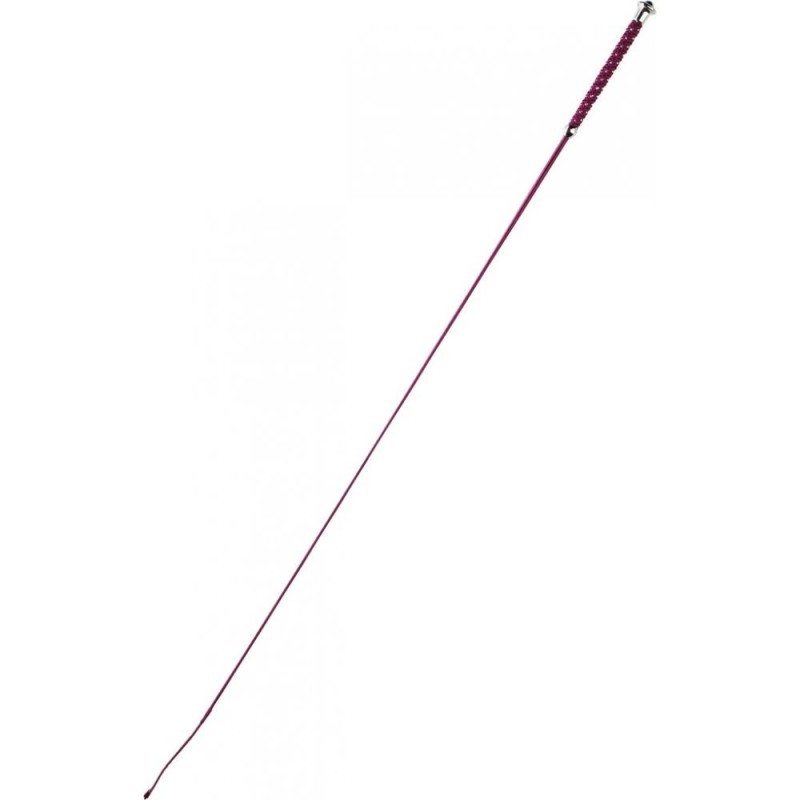 Cravache de dressage WHIP & GO â€œPointsâ€ BORD.110