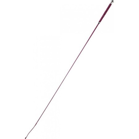 Cravache de dressage WHIP & GO â€œPointsâ€ BORD.110