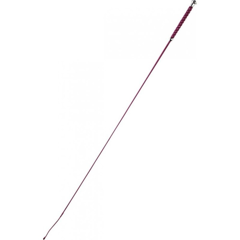 Cravache de dressage WHIP & GO â€œPointsâ€ BORD.110