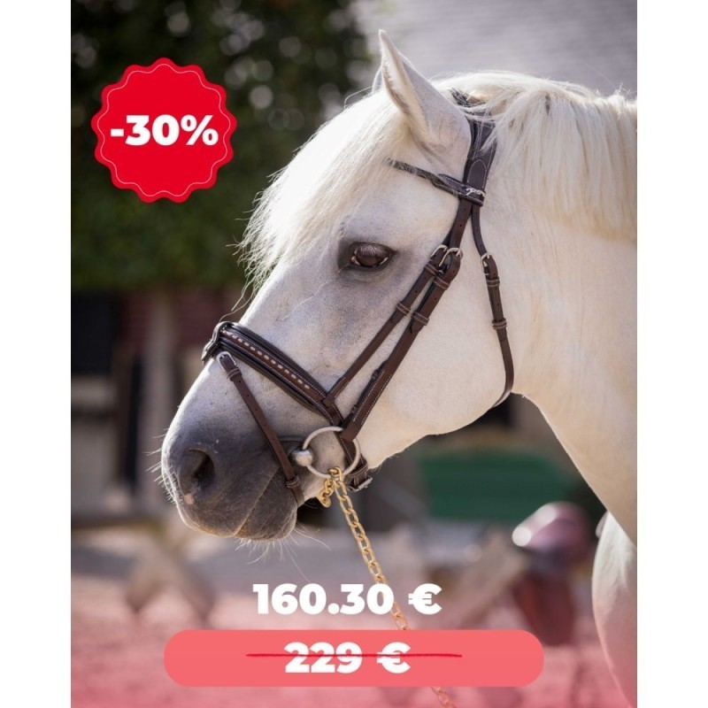 Bridon Poney PENELOPE "Eden" HAVANE