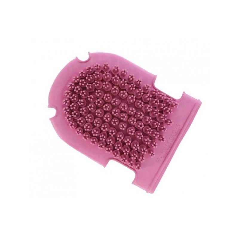 Gant Ã©trille + brosse HIPPOTONIC ROSE