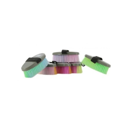 brosses HIPPOTONIC multicolor