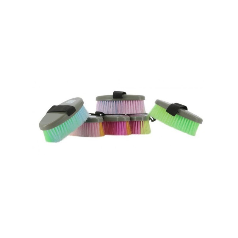 brosses HIPPOTONIC multicolor