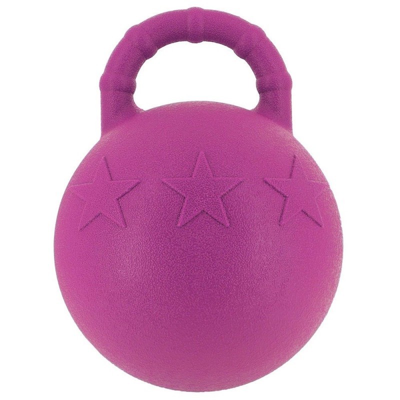 Ballon Ã  poignÃ©e HIPPOTONIC pour chevaux Fushia