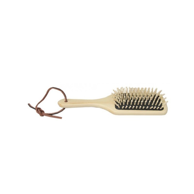 Brosse Ã  crins BORSTIQ GM