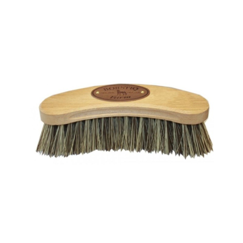 Brosse en polypropylÃ¨ne BORSTIQ "Banane" GM