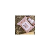 Easy Shine Wipe Lingettes nettoyantes RAVENE